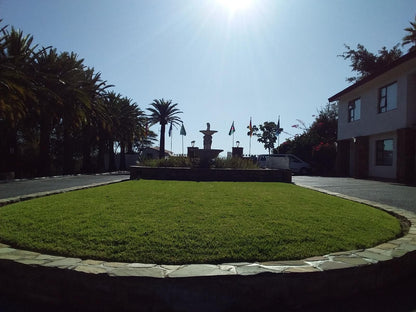 Hotel Thule, Palm Tree, Plant, Nature, Wood, Cemetery, Religion, Grave