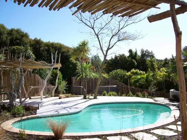 Hottentots Mountian View Guest House Helderrand Somerset West Western Cape South Africa Palm Tree, Plant, Nature, Wood, Garden, Swimming Pool