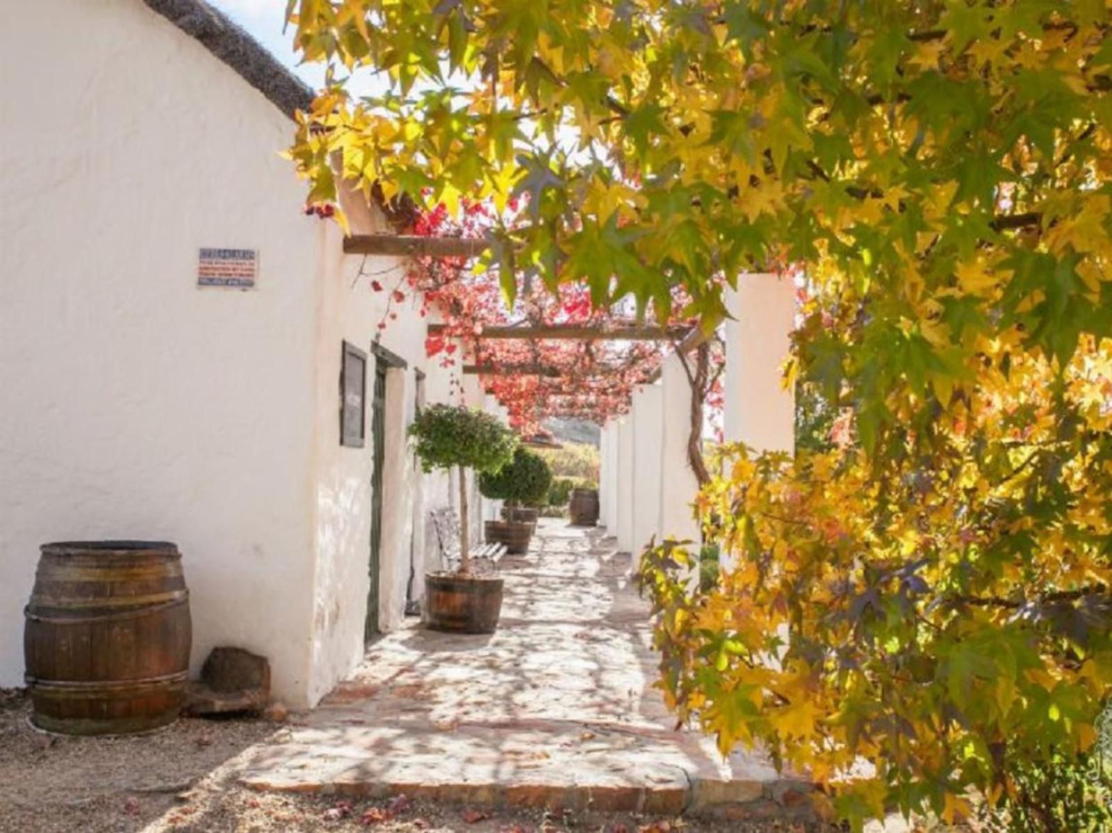 Houdenbek Farm Cottages Koue Bokkeveld Western Cape South Africa House, Building, Architecture, Plant, Nature