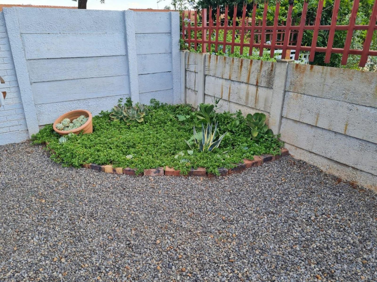 House 205 Vanderbijlpark Gauteng South Africa Garden, Nature, Plant