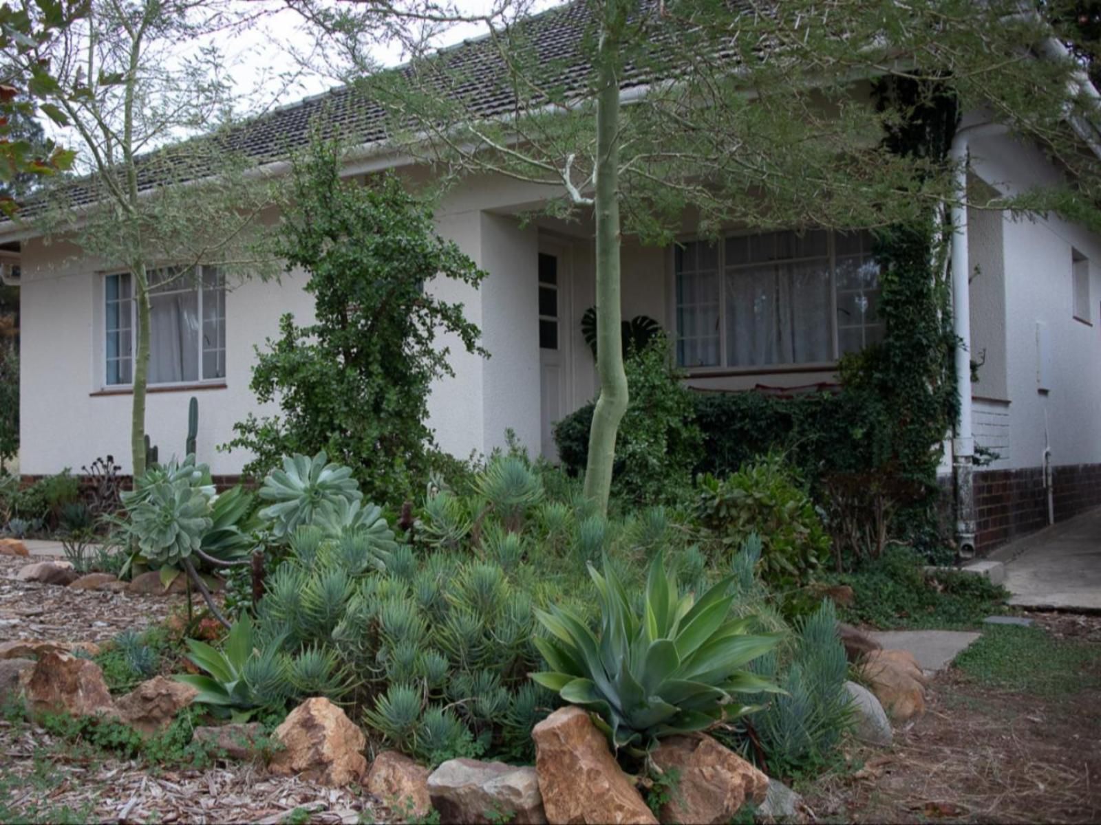 House 22 Tulbagh Western Cape South Africa House, Building, Architecture, Palm Tree, Plant, Nature, Wood, Garden