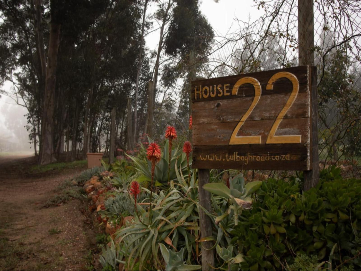 House 22 Tulbagh Western Cape South Africa Plant, Nature, Sign, Text