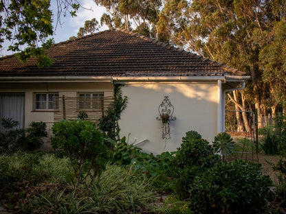 House 22 Tulbagh Western Cape South Africa House, Building, Architecture, Palm Tree, Plant, Nature, Wood