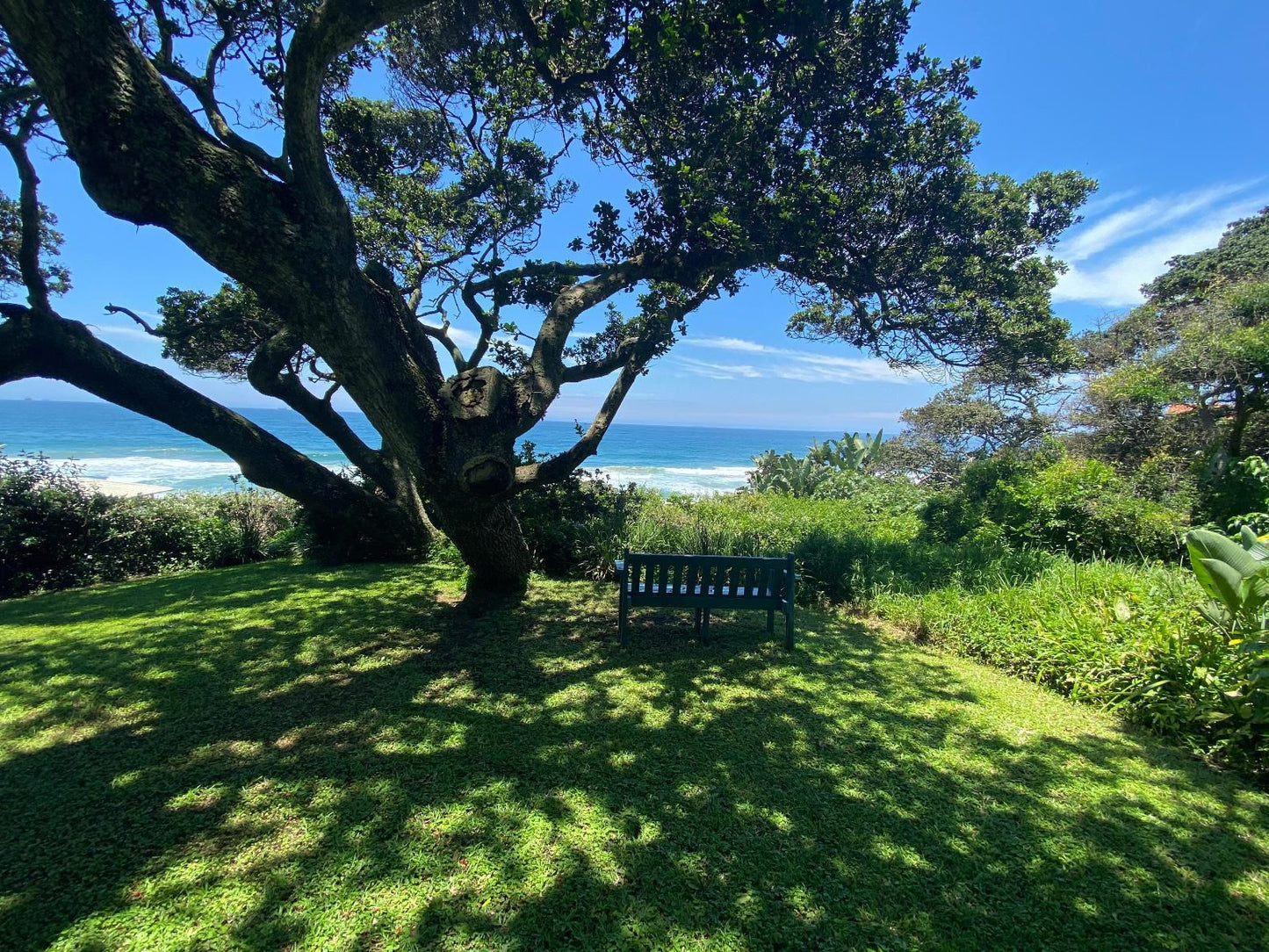 House 7 M Bacon Ave Selection Beach Durban Kwazulu Natal South Africa Complementary Colors, Beach, Nature, Sand, Plant, Tree, Wood, Framing, Garden