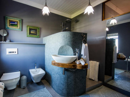 House A Hilltop Country Retreat Swellendam Western Cape South Africa Bathroom