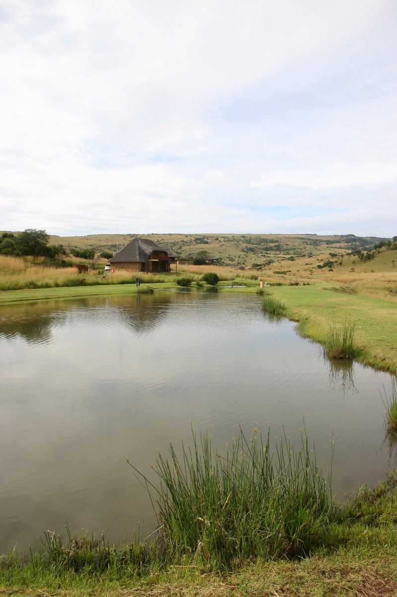 House 29 Doornkop Fish And Wildlife Reserve Carolina Mpumalanga South Africa River, Nature, Waters, Lowland