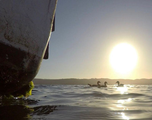 Knysna Houseboat Myrtle Knysna Quays Knysna Western Cape South Africa Nature, Ocean, Waters, Sunset, Sky