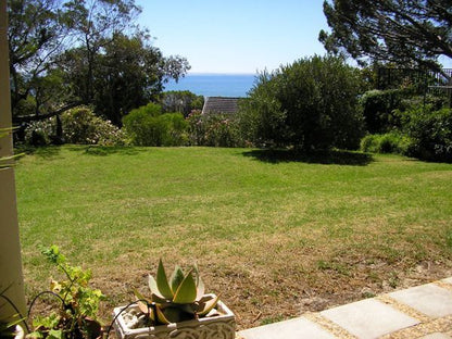 House H Camps Bay Cape Town Western Cape South Africa Beach, Nature, Sand, Palm Tree, Plant, Wood, Framing, Garden