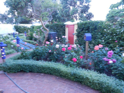 House Kirstenhof Kirstenhof Cape Town Western Cape South Africa Plant, Nature, Rose, Flower, Garden