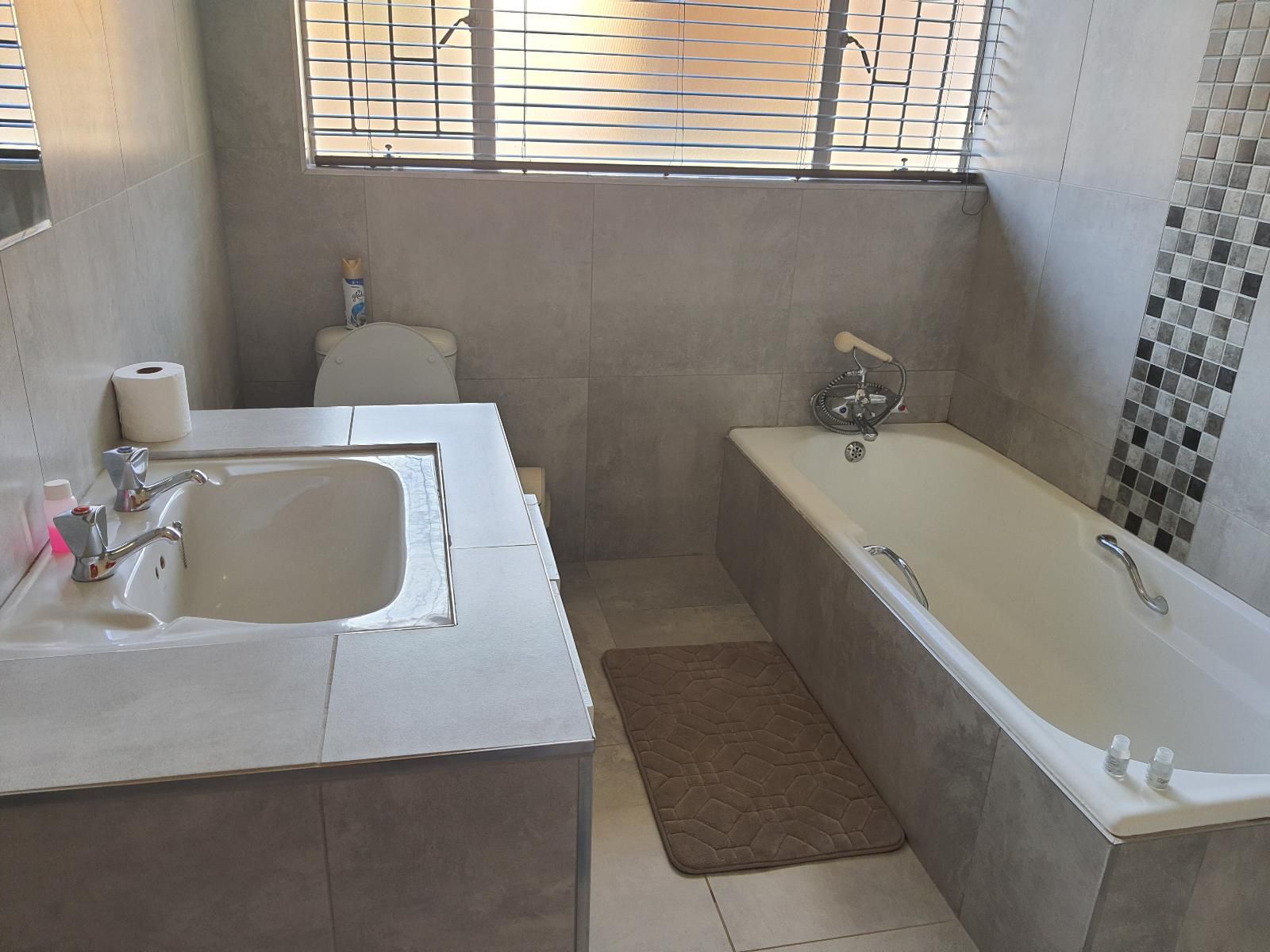 Housemartin Wilkoppies Klerksdorp North West Province South Africa Unsaturated, Bathroom