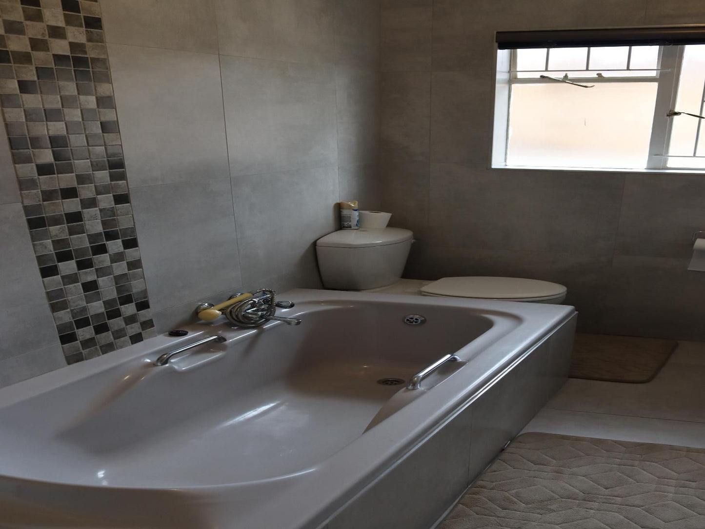 Housemartin Wilkoppies Klerksdorp North West Province South Africa Unsaturated, Bathroom