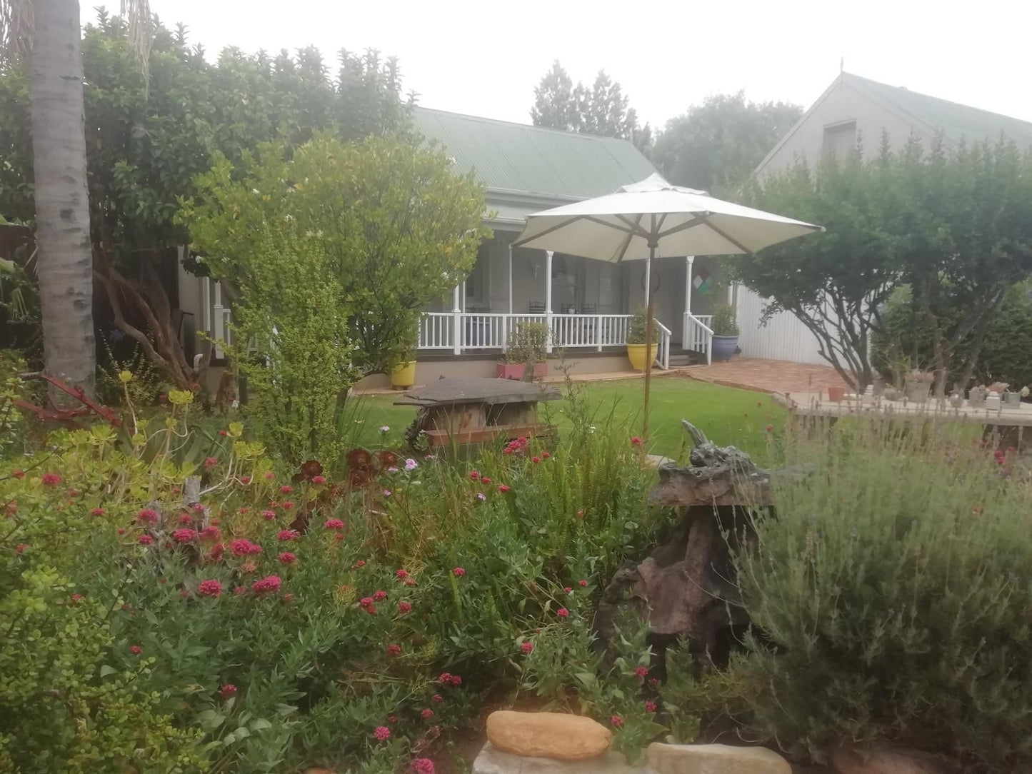 Housemartin Guest Lodge De Rust Western Cape South Africa Garden, Nature, Plant