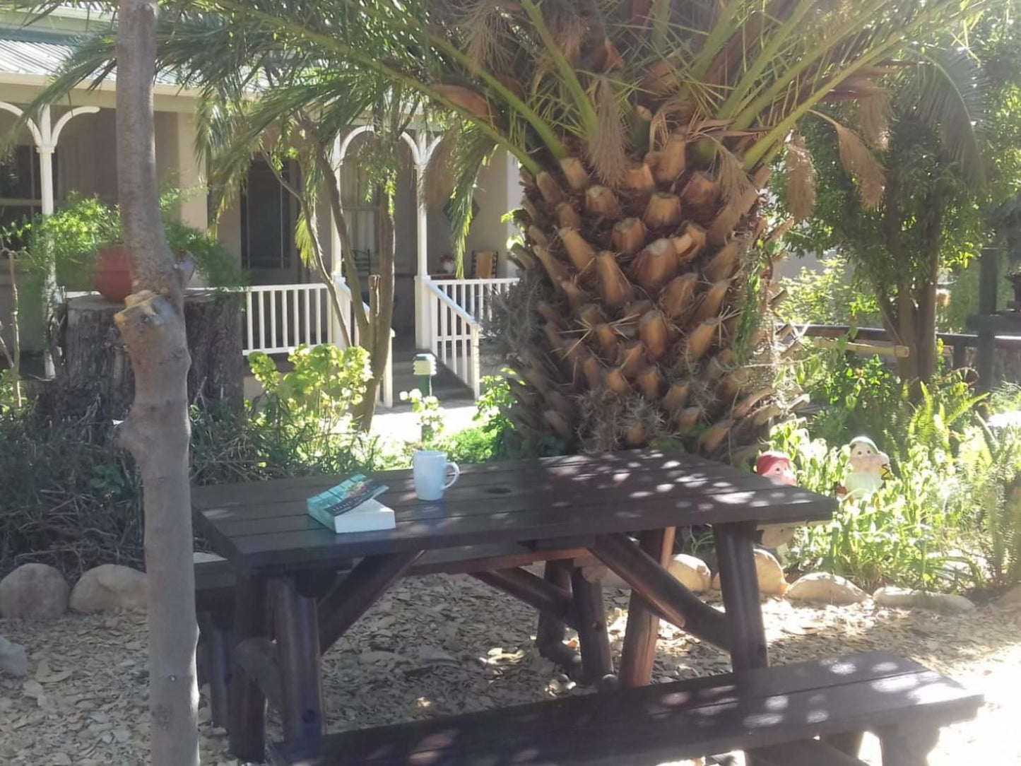 Housemartin Guest Lodge De Rust Western Cape South Africa Palm Tree, Plant, Nature, Wood, Pineapple, Fruit, Food