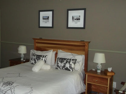 Room 5 Self Catering Queen bed @ Housemartin Guest Lodge