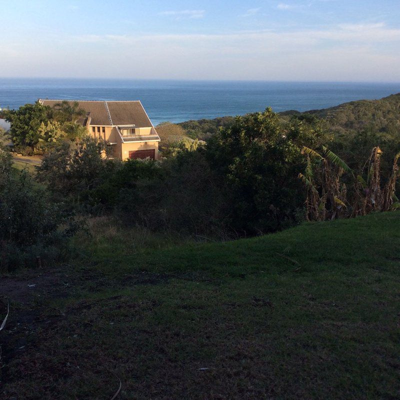 House Of Green And Blue Cove Rock East London Eastern Cape South Africa Beach, Nature, Sand, Cliff, Palm Tree, Plant, Wood, Framing