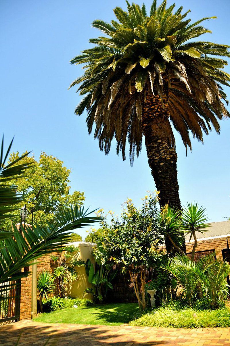 House On York Kensington Johannesburg Gauteng South Africa Complementary Colors, Colorful, Palm Tree, Plant, Nature, Wood, Garden