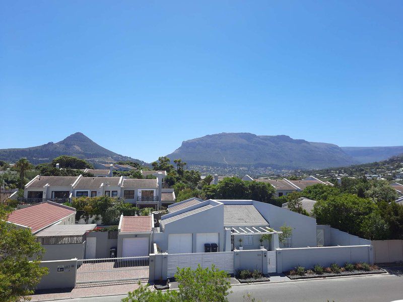 Hout Bay Gem Family Duplex Cape Town Hout Bay Cape Town Western Cape South Africa Mountain, Nature, Palm Tree, Plant, Wood