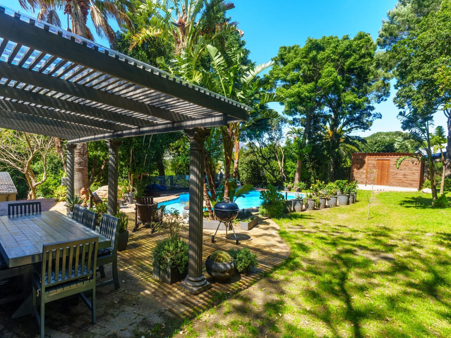 Hout Bay Gem, Beach, Nature, Sand, Palm Tree, Plant, Wood, Garden