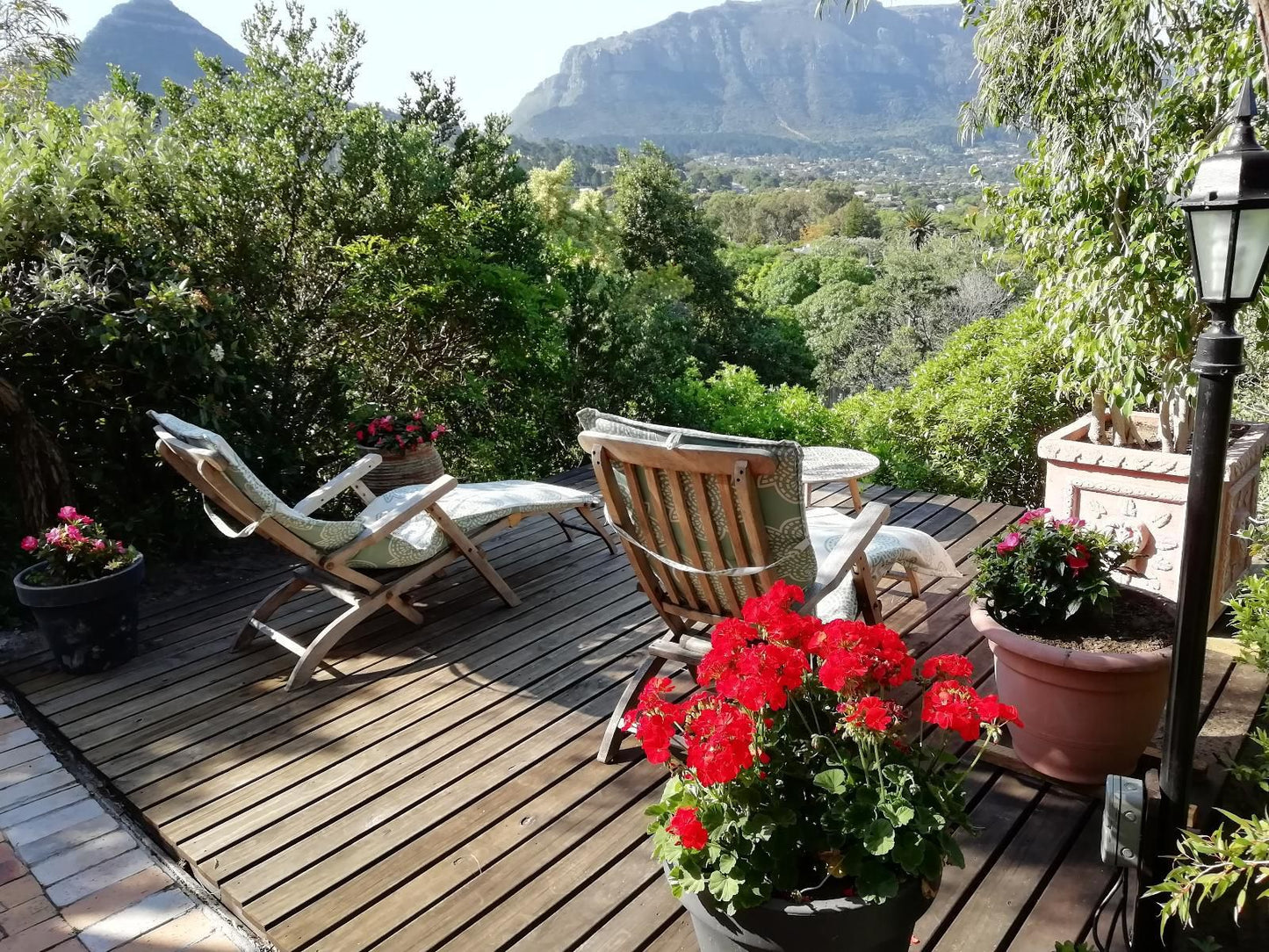 Hout Bay Hilltop, Garden, Nature, Plant