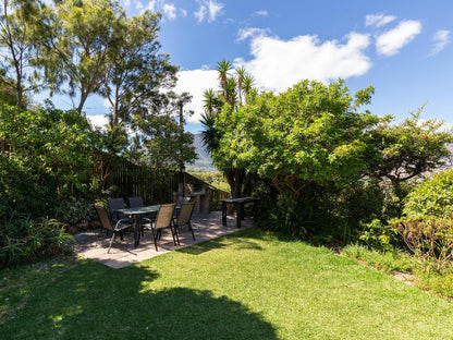 Hout Bay Hilltop, Palm Tree, Plant, Nature, Wood, Garden