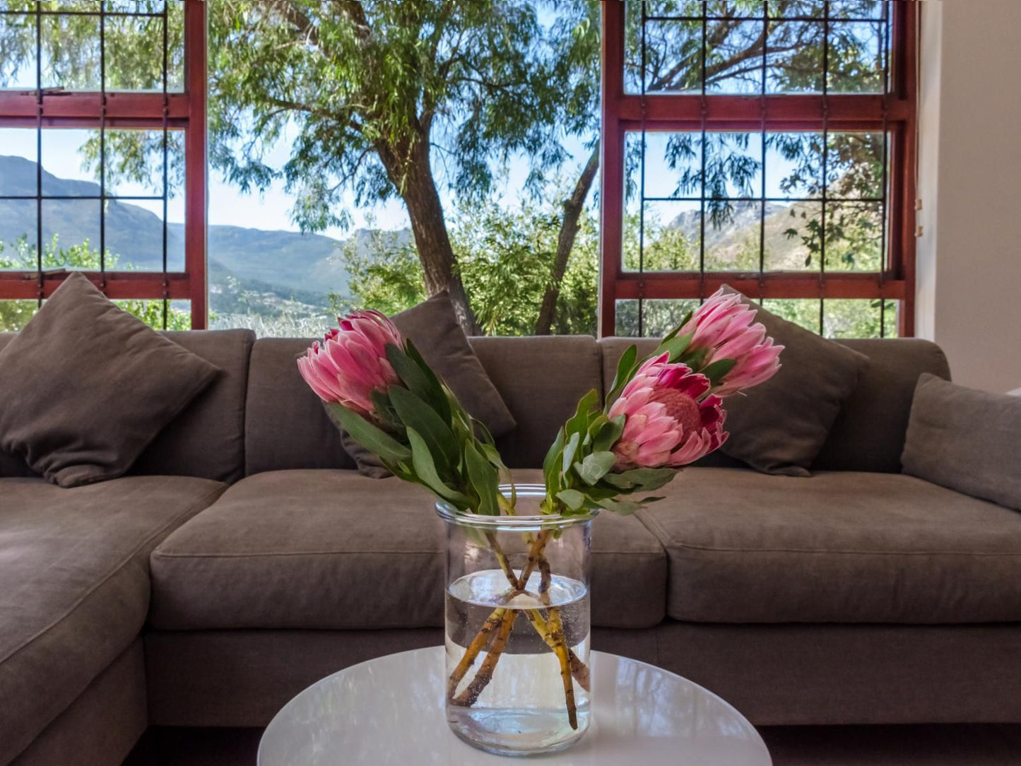 Hout Bay Hilltop, Plant, Nature, Living Room