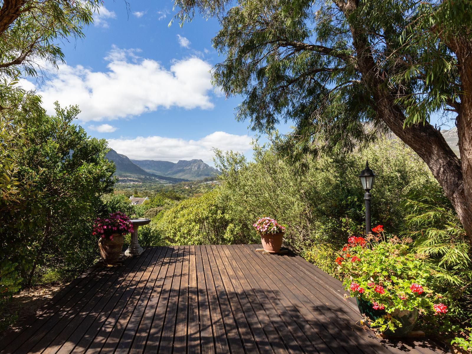 Hout Bay Hilltop, Mountain, Nature, Plant