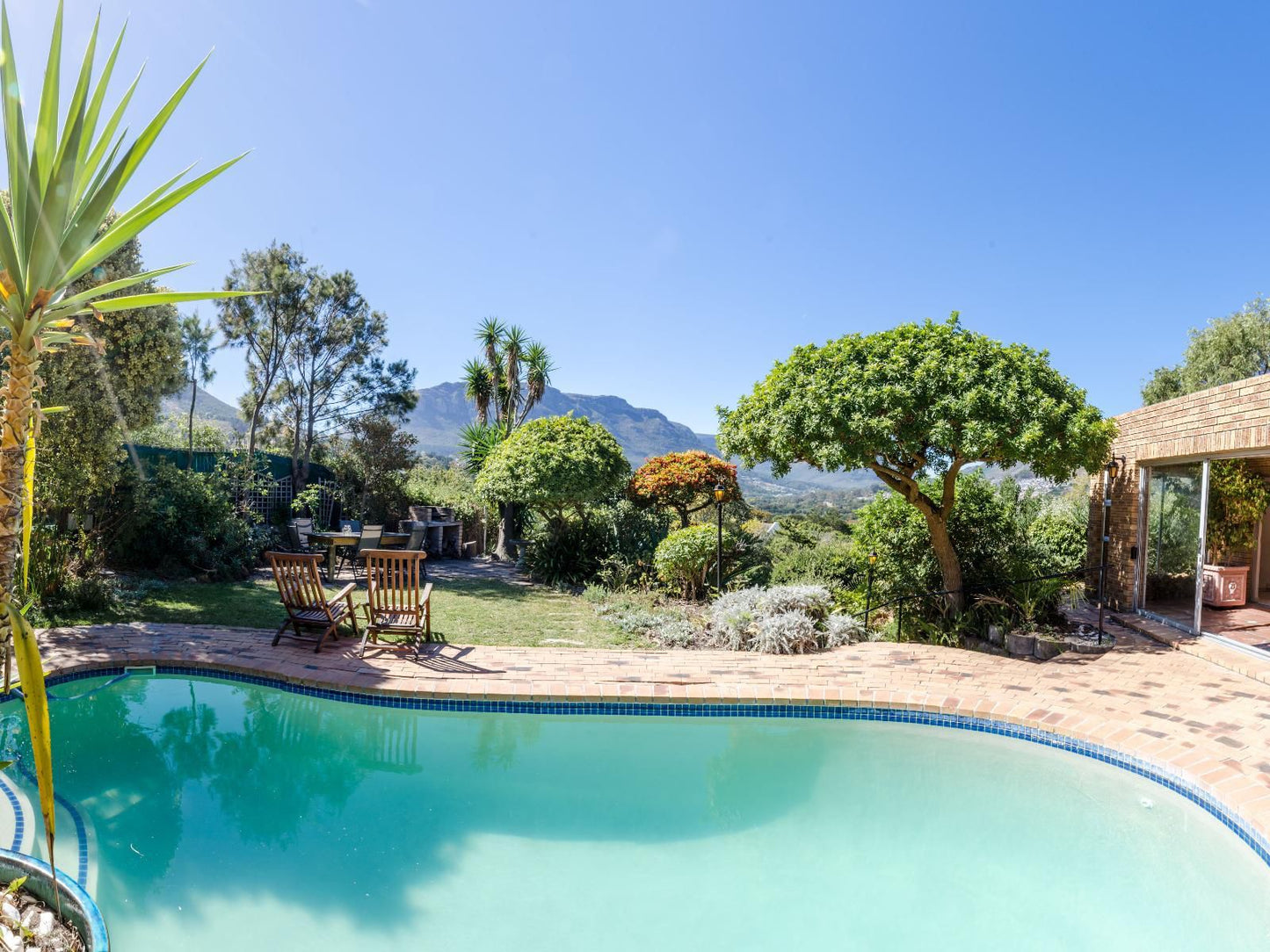 Hout Bay Hilltop, Palm Tree, Plant, Nature, Wood, Garden, Swimming Pool