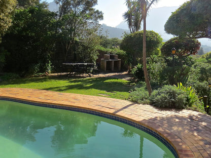 Hout Bay Hilltop, Palm Tree, Plant, Nature, Wood, Garden, Swimming Pool