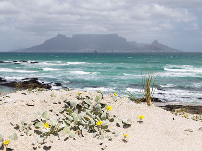 Hout Bay Lodge, Beach, Nature, Sand