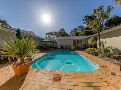 Hout Bay Lodge, House, Building, Architecture, Palm Tree, Plant, Nature, Wood, Garden, Swimming Pool