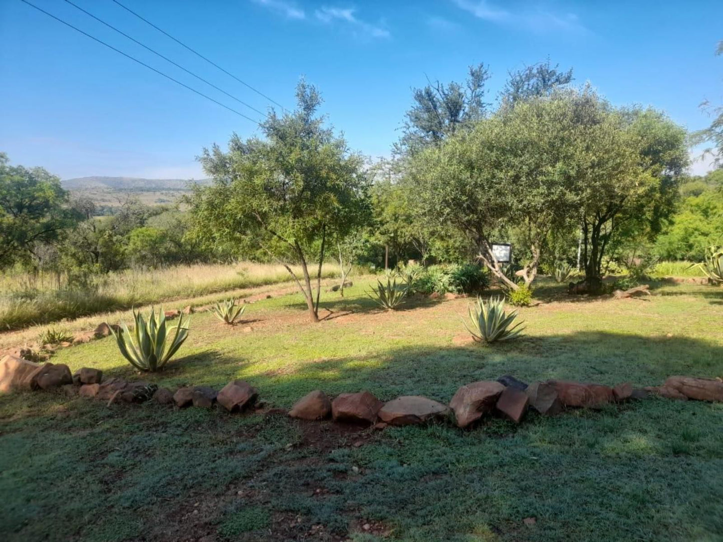 Houtbosdorp Broederstroom Hartbeespoort North West Province South Africa Complementary Colors, Cactus, Plant, Nature