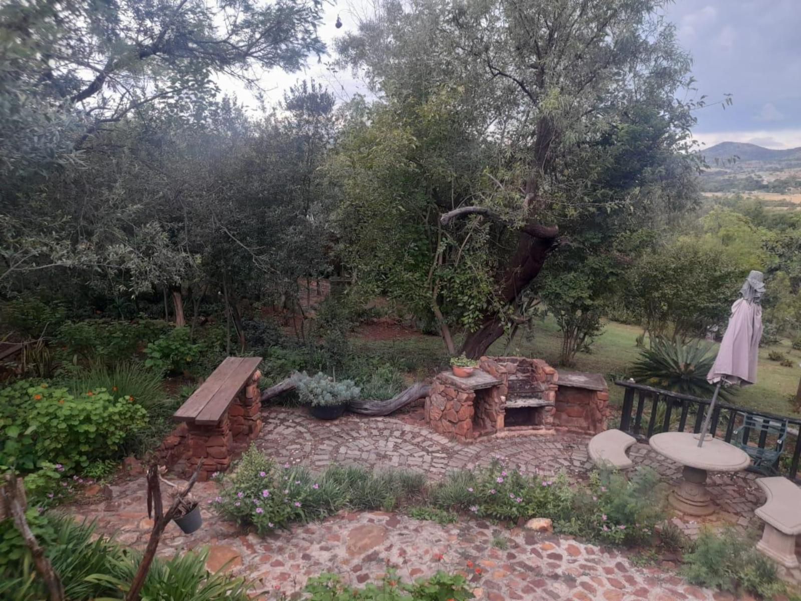 Houtbosdorp Broederstroom Hartbeespoort North West Province South Africa Garden, Nature, Plant