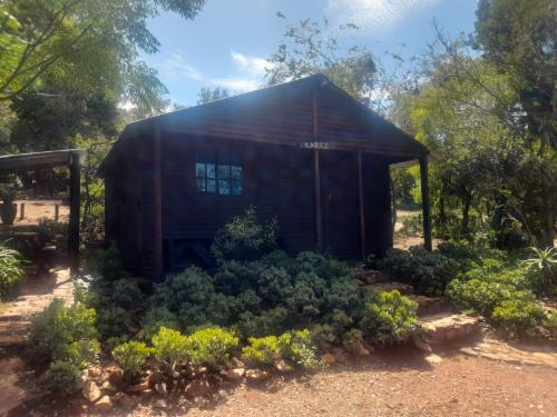 Basic 4-sleeper Cabin @ Houtbosdorp