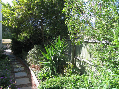 Hout Bay Stay Hout Bay Cape Town Western Cape South Africa Palm Tree, Plant, Nature, Wood, Garden