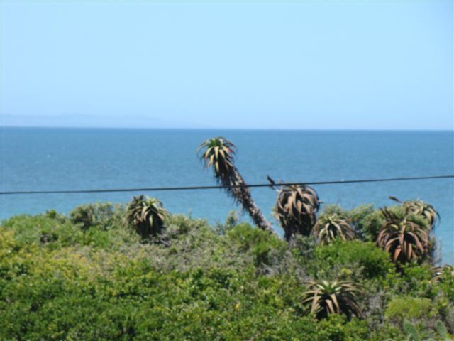 Houtgerus Jeffreys Bay Eastern Cape South Africa Complementary Colors, Beach, Nature, Sand, Palm Tree, Plant, Wood