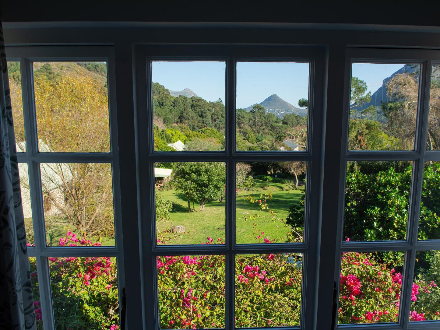 Houtkapperspoort Mountain Cottages Constantia Cape Town Western Cape South Africa Framing, Garden, Nature, Plant
