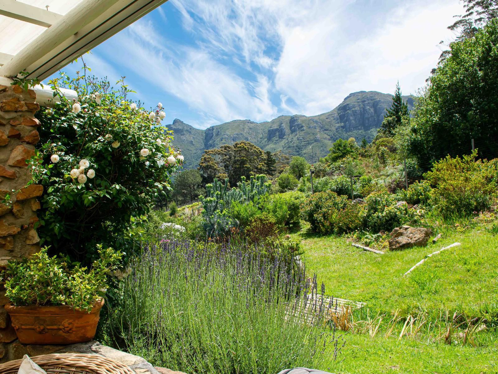 Houtkapperspoort Mountain Cottages Constantia Cape Town Western Cape South Africa Mountain, Nature, Plant, Garden, Highland