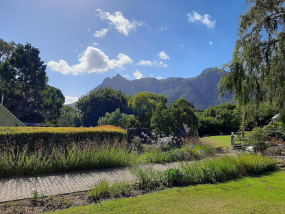 Houtkapperspoort Mountain Cottages Constantia Cape Town Western Cape South Africa Complementary Colors, Mountain, Nature