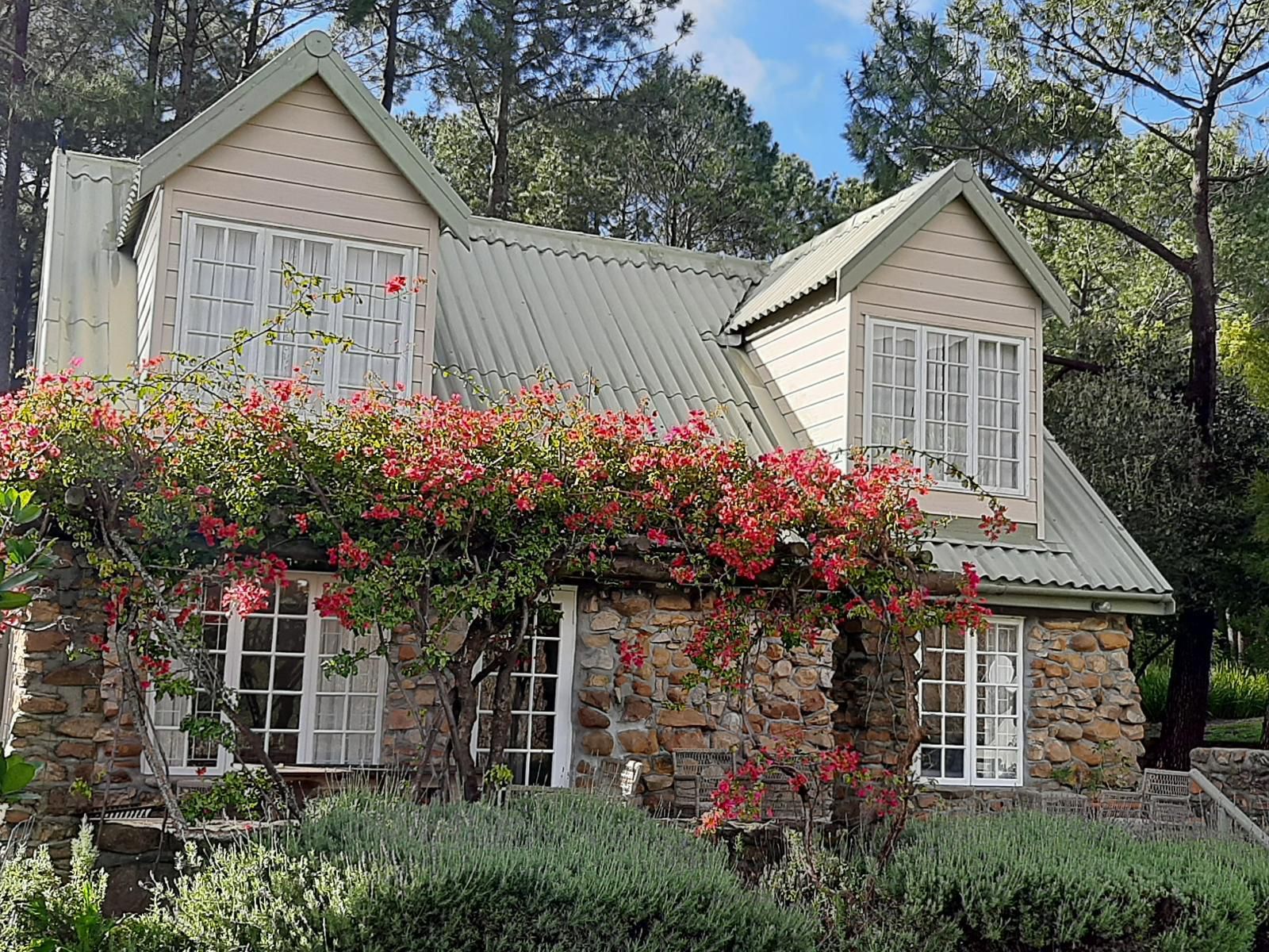 Houtkapperspoort Mountain Cottages Constantia Cape Town Western Cape South Africa Building, Architecture, Cabin, House, Plant, Nature