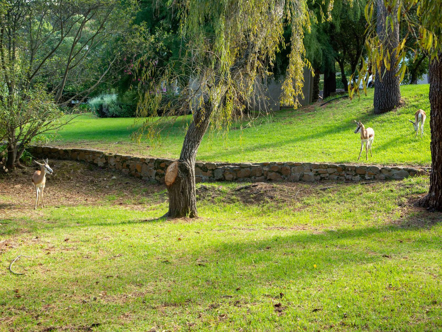 No 15 - Kei Apple Cottage @ Houtkapperspoort Mountain Cottages