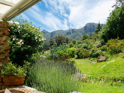 No 24 - Azalea Cottage @ Houtkapperspoort Mountain Cottages