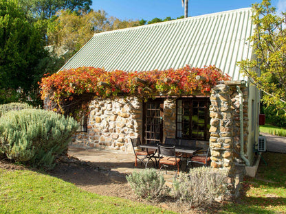 No 9 - Rosewood Cottage @ Houtkapperspoort Mountain Cottages