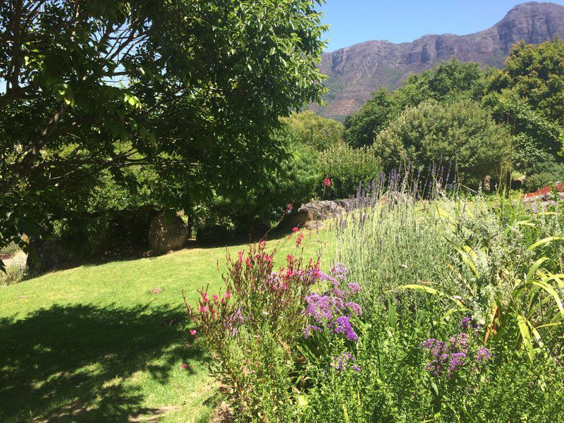20 Khoka Moya Houtkapperspoort Constantia Cape Town Western Cape South Africa Plant, Nature, Garden