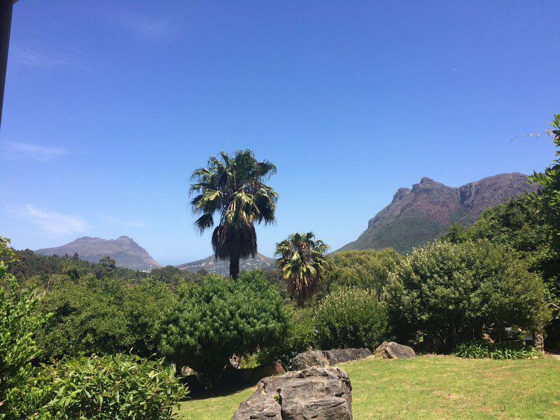 20 Khoka Moya Houtkapperspoort Constantia Cape Town Western Cape South Africa Complementary Colors, Mountain, Nature, Palm Tree, Plant, Wood