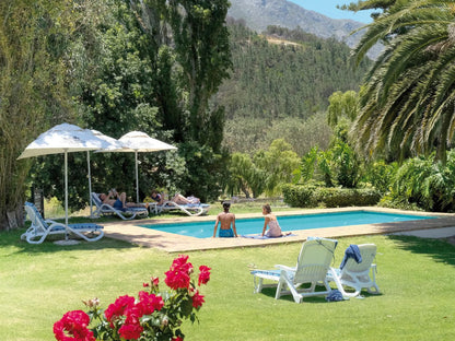 Houw Hoek Hotel Grabouw Western Cape South Africa Palm Tree, Plant, Nature, Wood, Garden, Swimming Pool