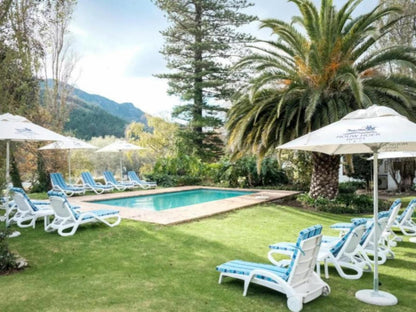 Houw Hoek Hotel Grabouw Western Cape South Africa Palm Tree, Plant, Nature, Wood, Swimming Pool