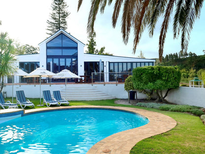 Houw Hoek Hotel Grabouw Western Cape South Africa Complementary Colors, Palm Tree, Plant, Nature, Wood, Swimming Pool