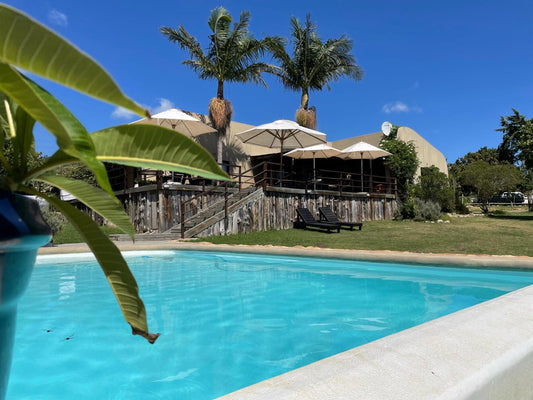 Howberry Hills, Palm Tree, Plant, Nature, Wood, Swimming Pool