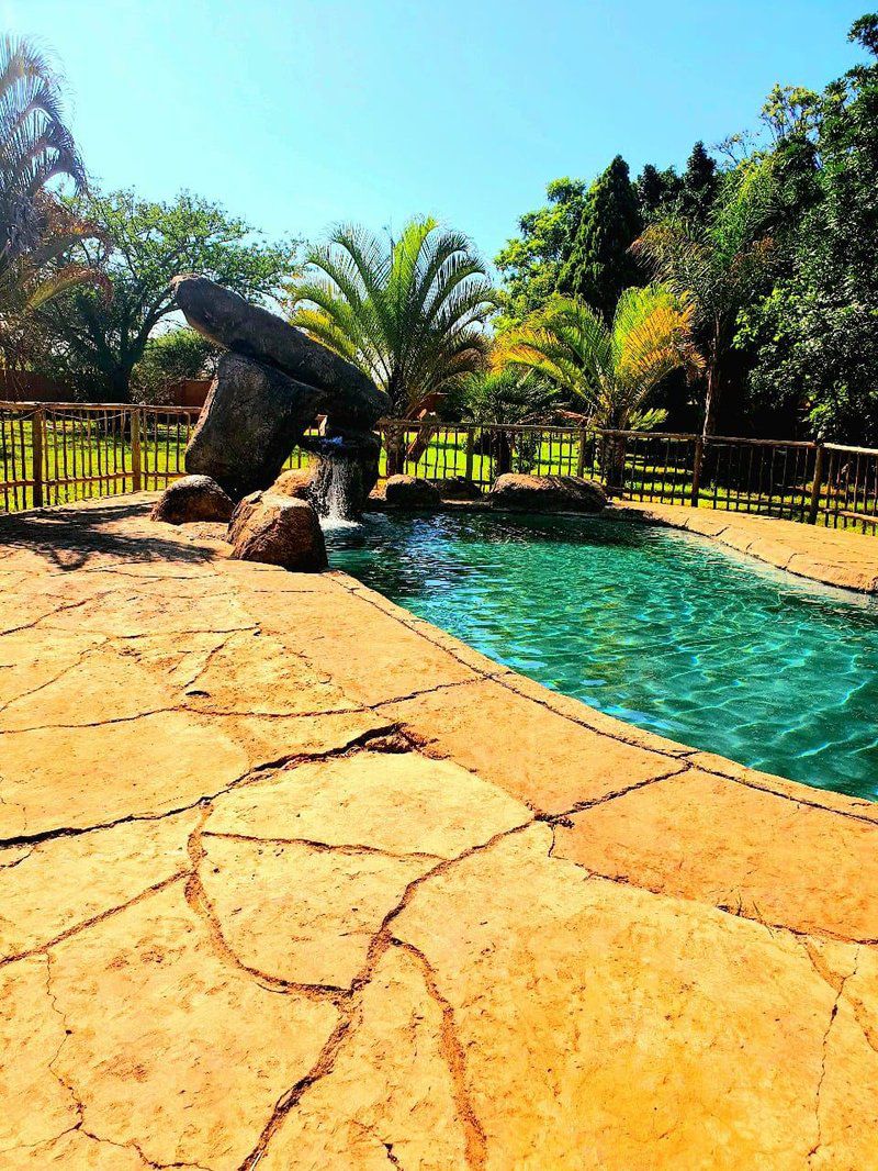 Howick S Overnight Accommodation Polokwane Pietersburg Limpopo Province South Africa Complementary Colors, Colorful, Palm Tree, Plant, Nature, Wood, Garden, Swimming Pool