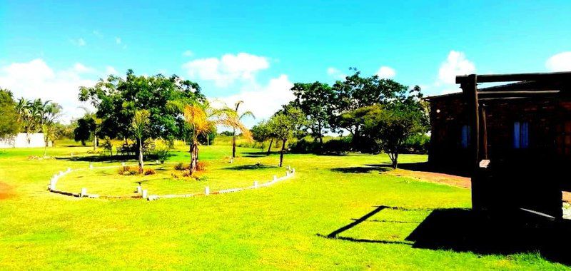 Howick S Overnight Accommodation Polokwane Pietersburg Limpopo Province South Africa Complementary Colors, Colorful, Palm Tree, Plant, Nature, Wood